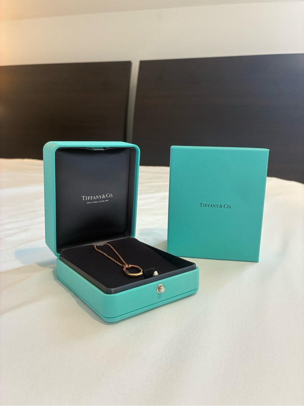 Tiffany & Co. Tiffany Lock
Small Pendant in Rose Gold with Pink Sapphires